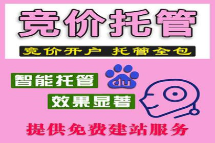 百度推广秘籍：案例与技巧
